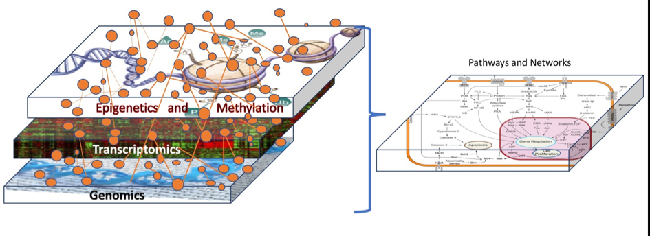 Integrating genome-wide association study with transcriptomic data